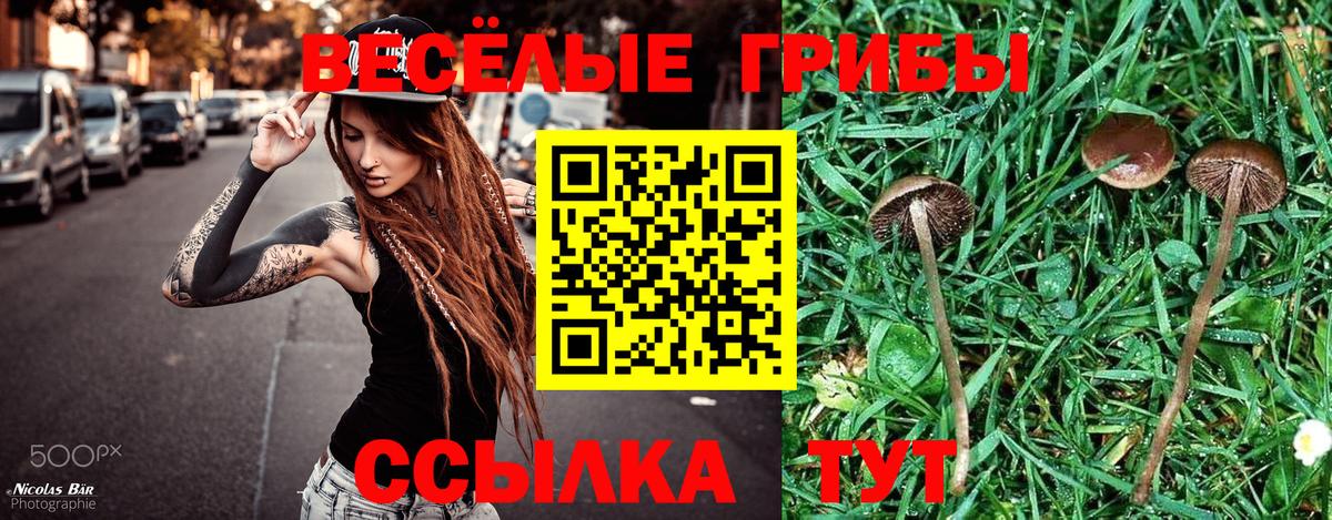 Ивантеевка  Галлюциногенные грибы мицелий  даркнет сайт  Псилоцибиновые грибы Psilocybine cubensis  Вход с VPN 